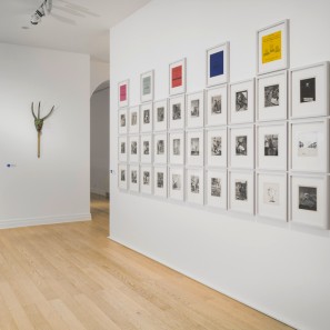 Foto: Ein Ausstellungsraum im Max Ernst Museum mit dem Collagenroman "Une semaine de bonté" von Max Ernst